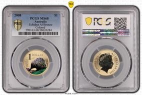 2008 $1 Echidna Al-Bronze Colorized MS68