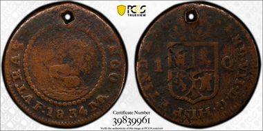 1834-MA F Quarto Calico-99 KM-10 N1BN