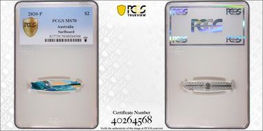 2020-P $2 Surfboard MS70