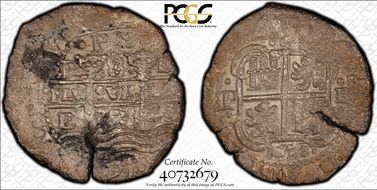 1653-P E  8 R Calico-1503 N1