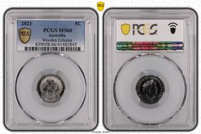 2021 5C Wooden Echidna - Baby Set MS66