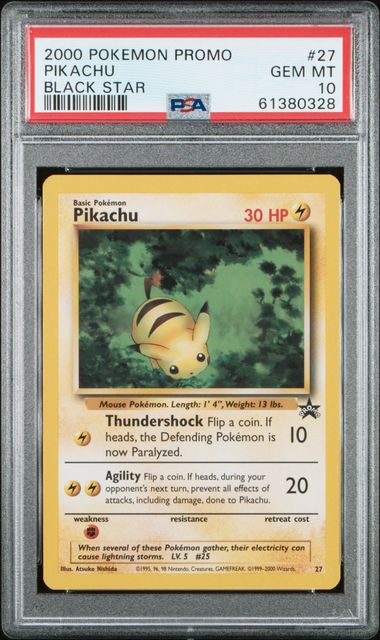 Pokemon Black Pikachu front