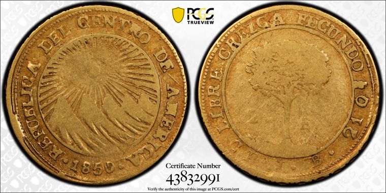 Cert 43832991 - Coin Image