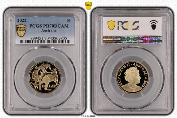 Cert 43809805 - Coin Image