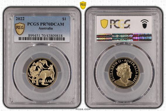 Cert 43809818 - Coin Image