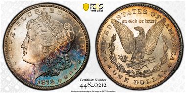 1878 7TF $1 Reverse of 1878 MS64