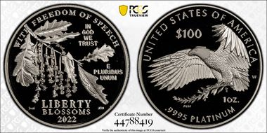 2022-W $100 Freedom of Speech Advanced Release Stephanie Sabin Flag PR70DCAM