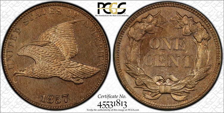 Cert 45531813 - Coin Image