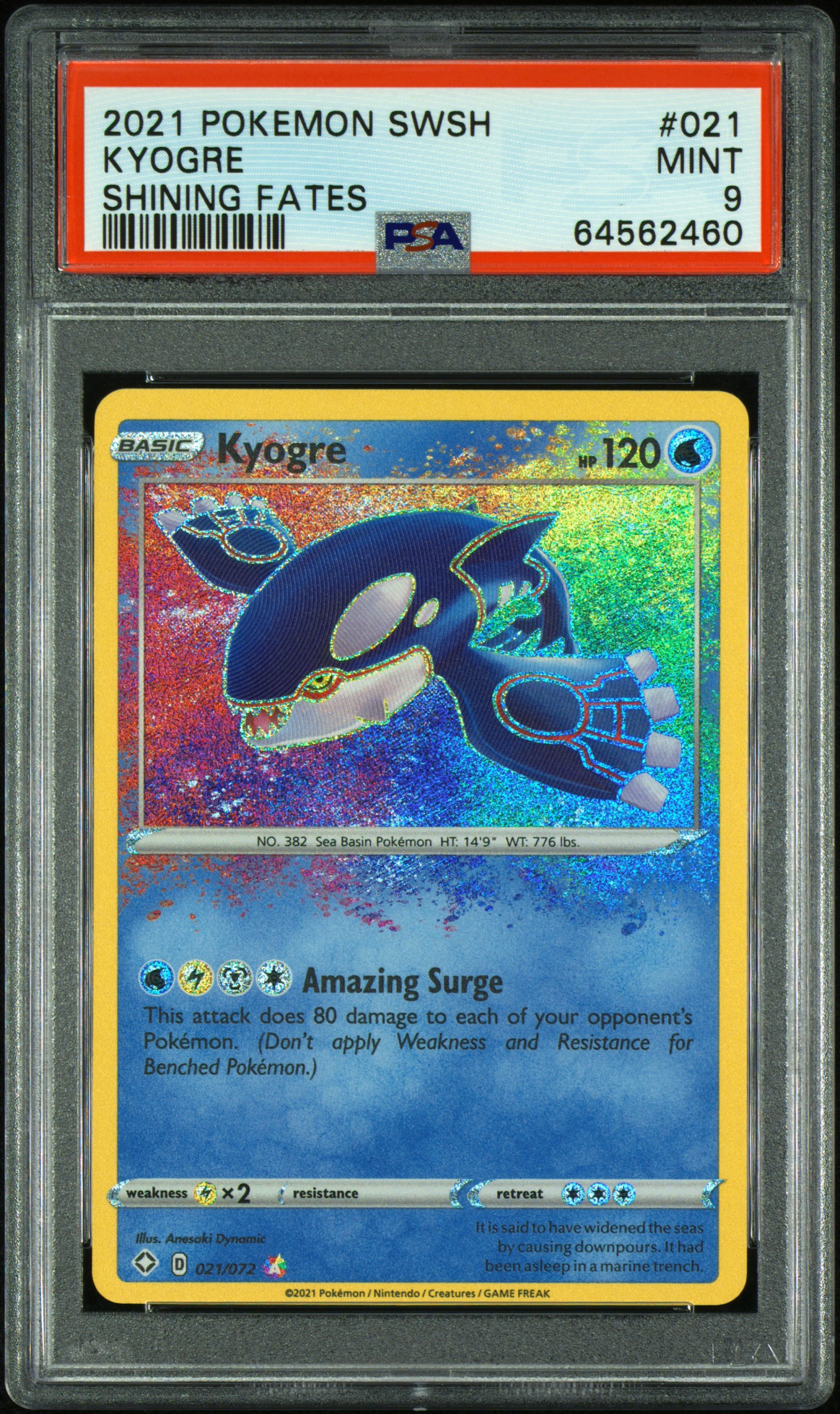 TCG - PSA's Best of Water-Type Pokemon: Hippie10K Set Image Gallery