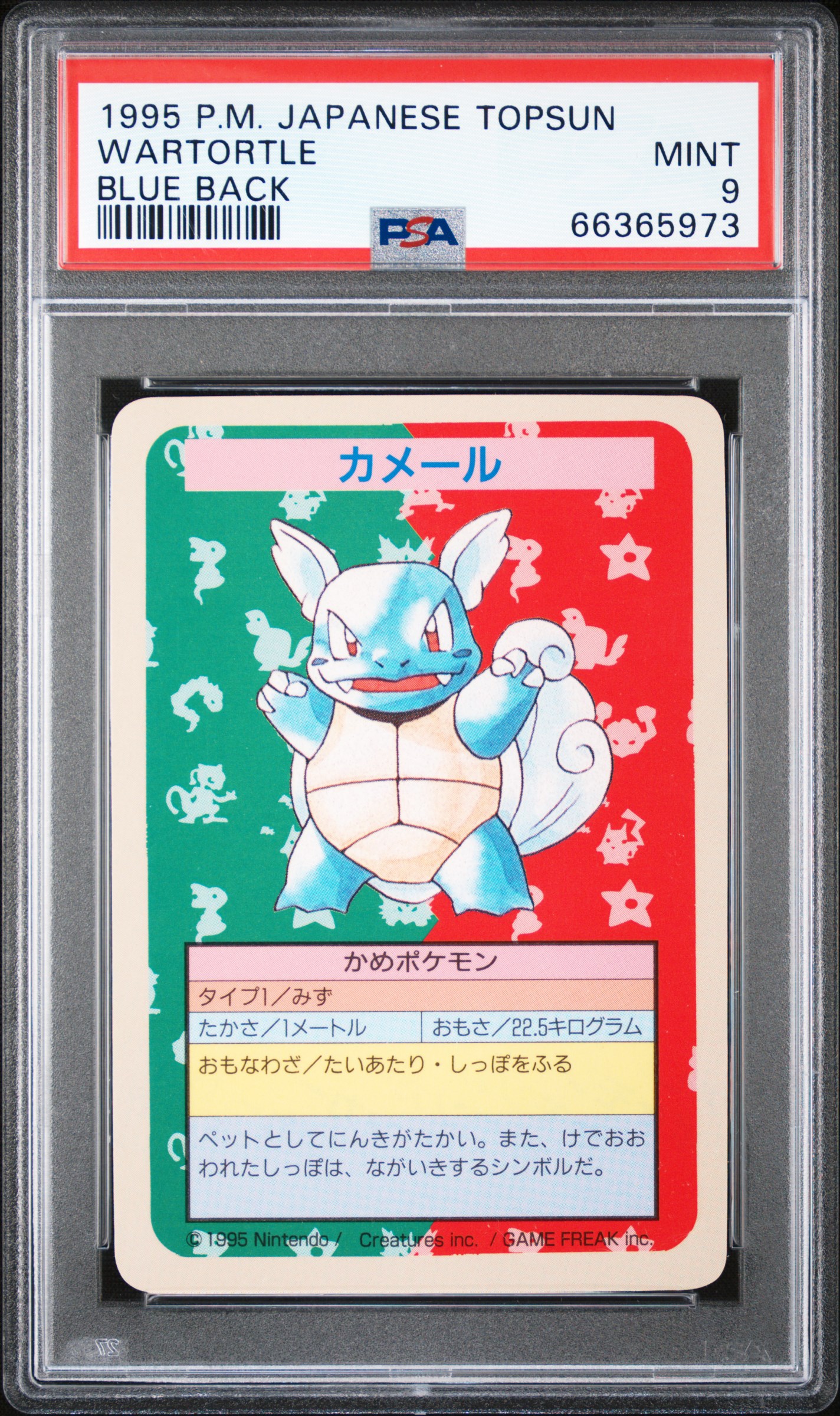 1997年 ミュウツー TOPSUN ブルーバック　PSA8 ナンバー無し TCG - 1997 Pokemon Japanese Topsun - Blue Back No Number: ma-chin