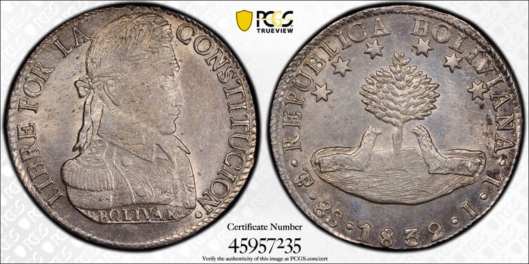 Cert 45957235 - Coin Image