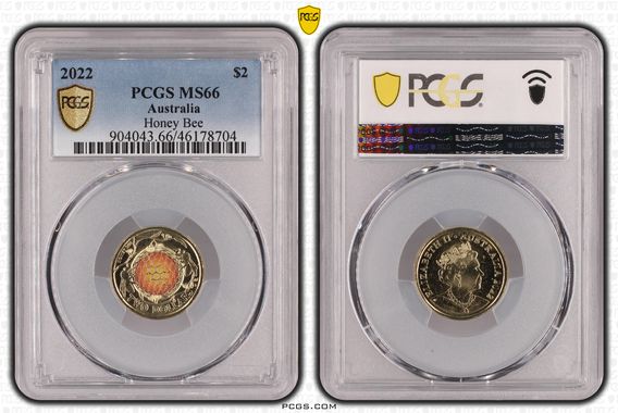 Cert 46178704 - Coin Image