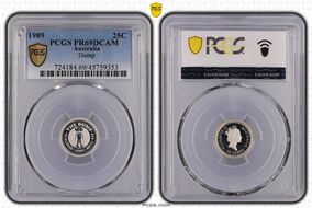 1989 25C Dump PR69DCAM