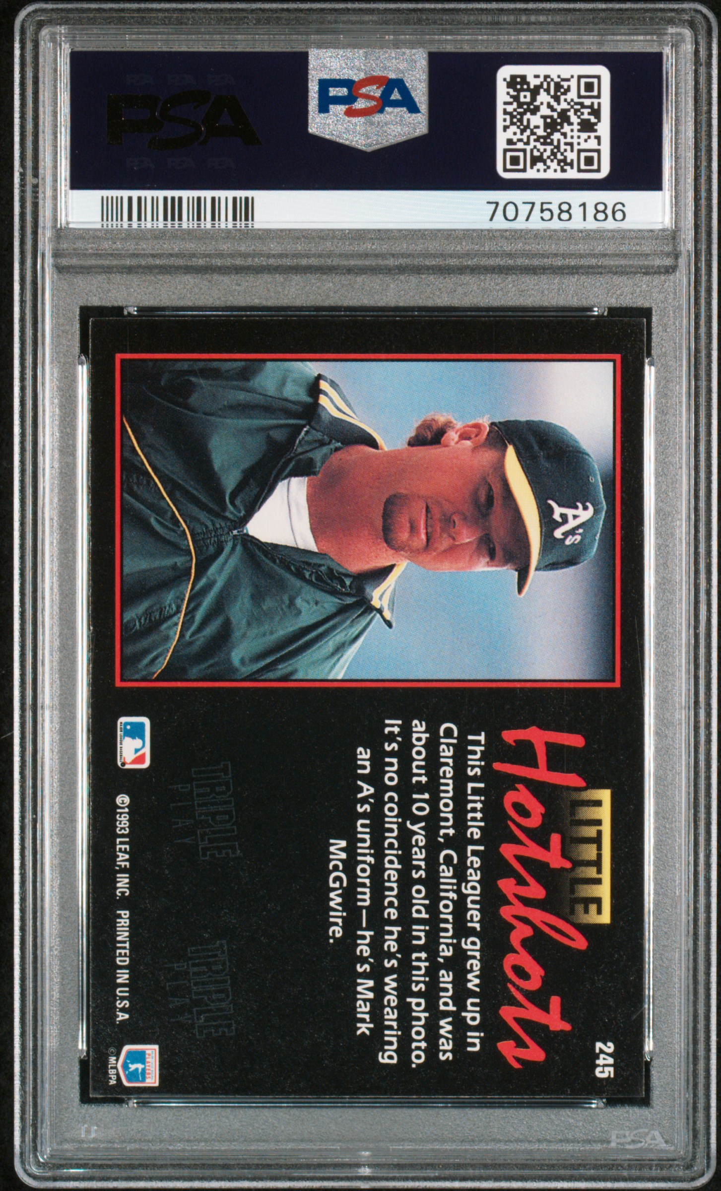 1993 Donruss Triple Play Mark Mcgwire #245 Nm-Mt 8 back