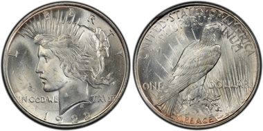 1922-D $1 VAM 3, Doubled Leaves MS63