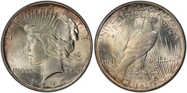 1924 $1 VAM 8A, Extra Hair MS64