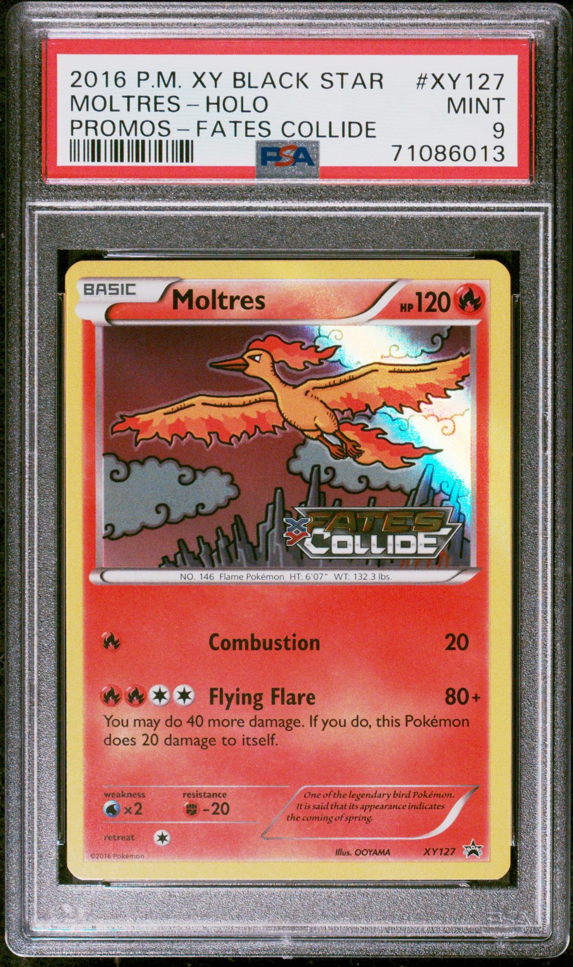 2016 Pokemon POKEMON XY BLACK STAR PROMO PROMOS-FATES COLLIDE #XY127 Moltres-Holo front