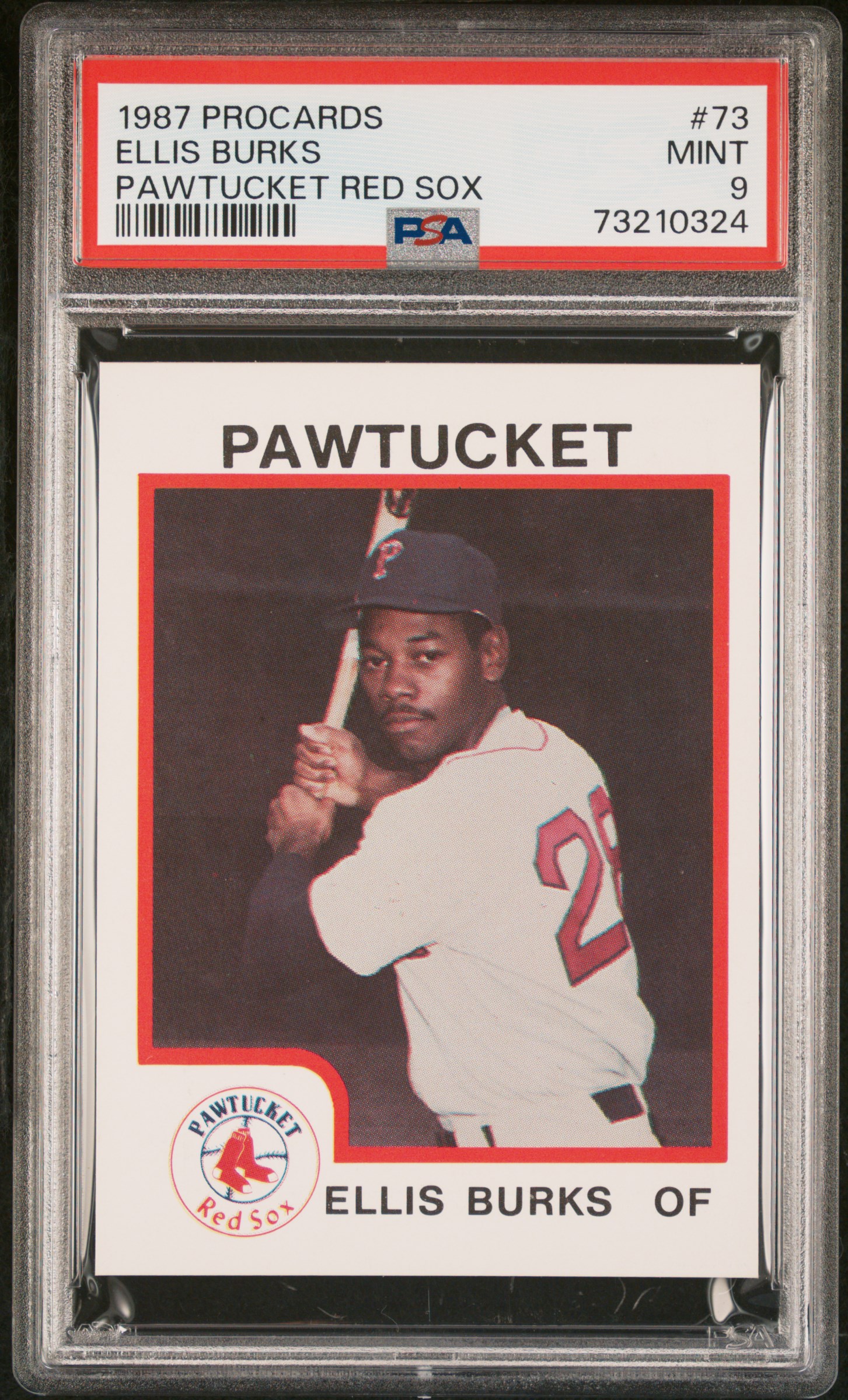 Baseball - Ellis Burks Master Set: mcholke Ellis Burks Master Set