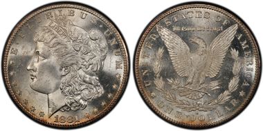 1881-S $1 MS65
