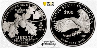 2023-W $100 Freedom of the Press First Strike PR70DCAM