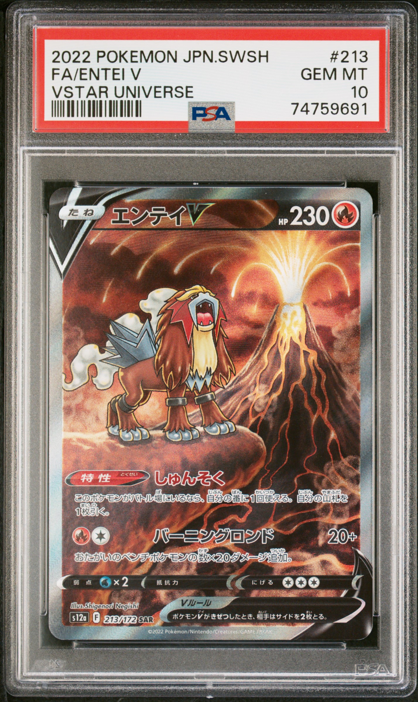 2022 #213 Full Art/Entei V PSA 10 Japanese Sword & Shield Vstar Universe