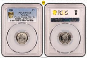 2023 5C Wooden Echidna - Baby Set MS68