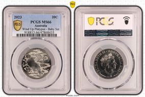 2023 20C Wind Up Platypus - Baby Set MS66