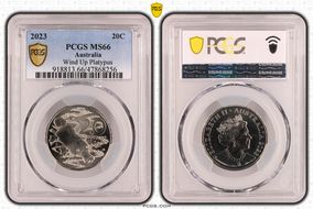 2023 20C Wind Up Platypus - Baby Set MS66