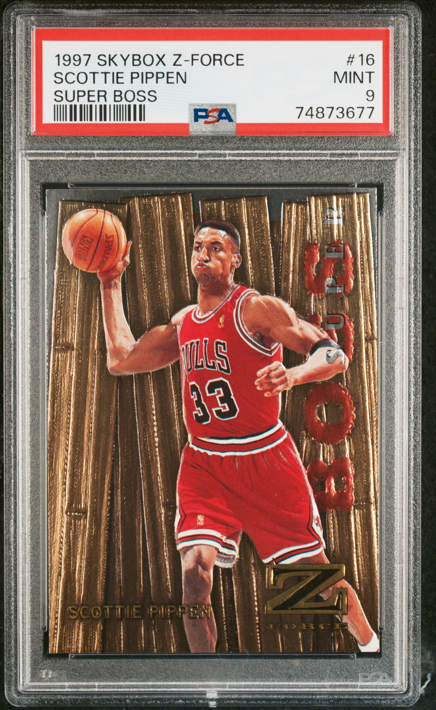 Basketball - Scottie Pippen Master Set: Dmichaluk1 Set Image Gallery