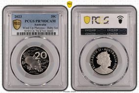 2023 20C Wind Up Platypus - Baby Set PR70DCAM