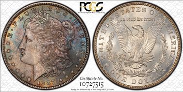 1887 $1 VAM 12, Alligator Eye MS66