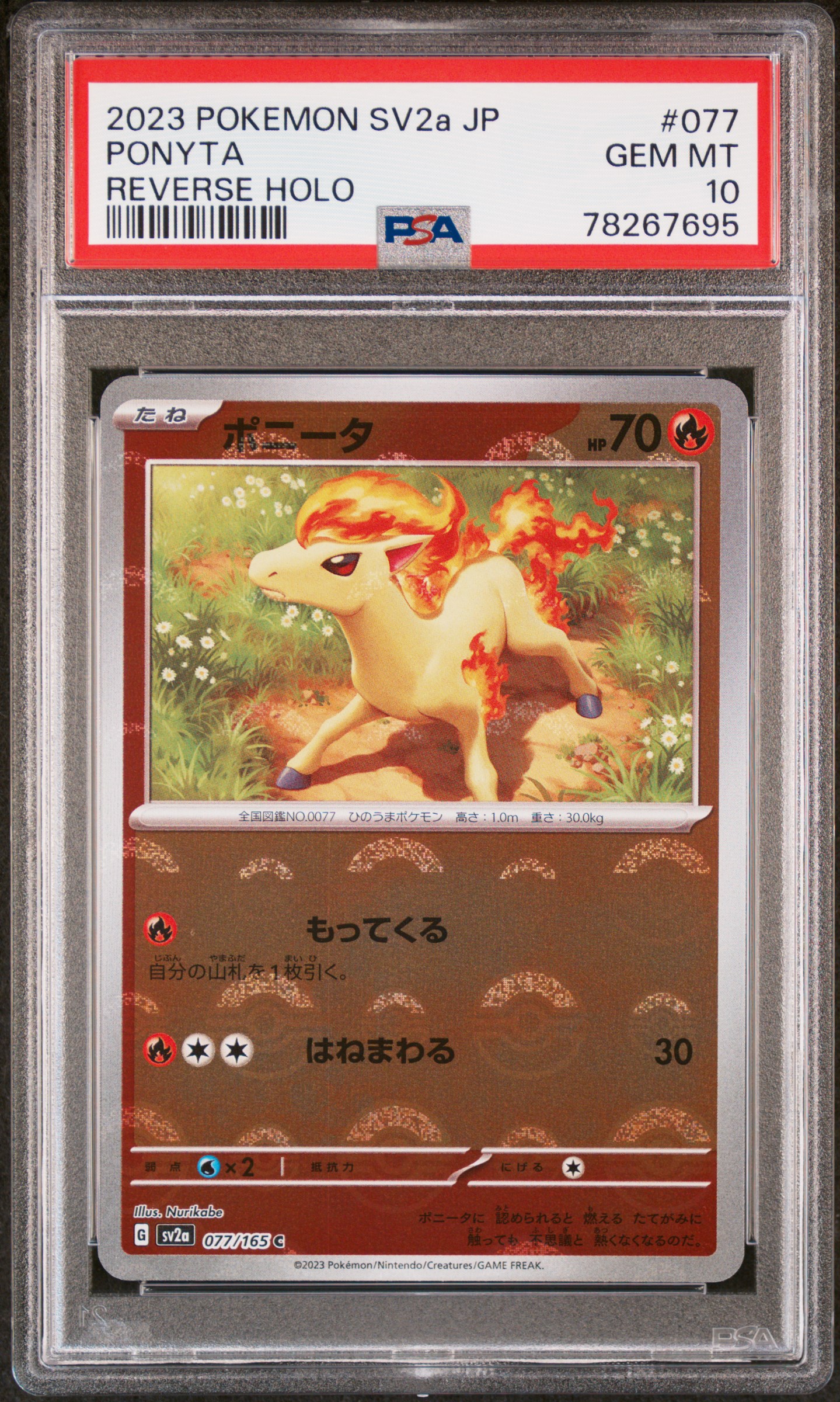 2023 Pokemon Japanese Sv2A-Pokemon 151 #077 Ponyta – PSA GEM MT 10