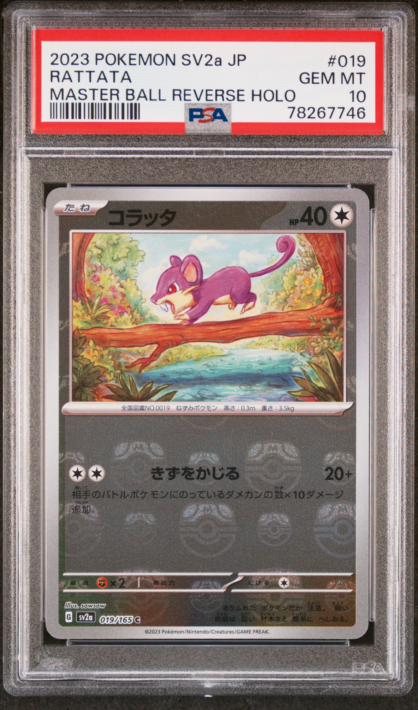 2023 Pokemon Japanese Sv2A-Pokemon 151 #019 Rattata – PSA GEM MT 10