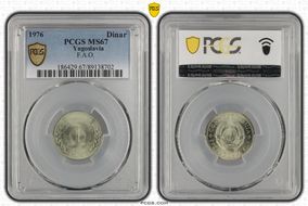 1976 Dinar F.A.O. MS67