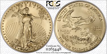 2006-W $50 Burnished Gold Eagle 20th Anniversary SP69
