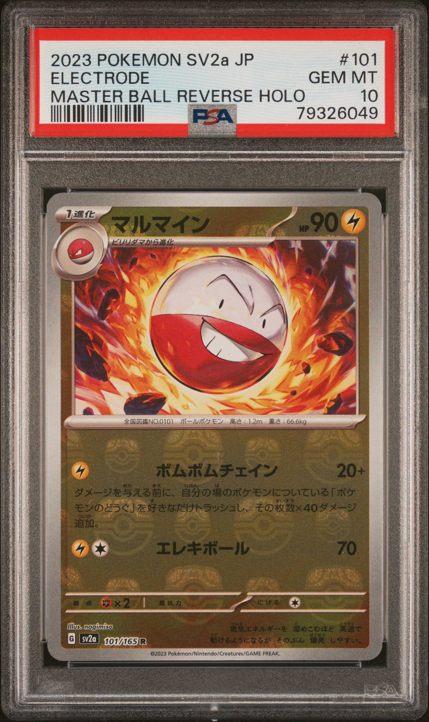 Pikachuzard's 2023 Pokemon Japanese Sv2a-Pokemon Card 151