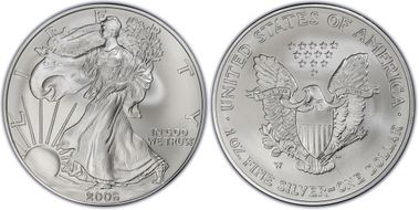 2006-W $1 Burnished Silver Eagle 20th Anniversary SP69
