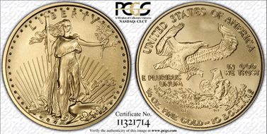 2006-W $10 Burnished Gold Eagle SP70