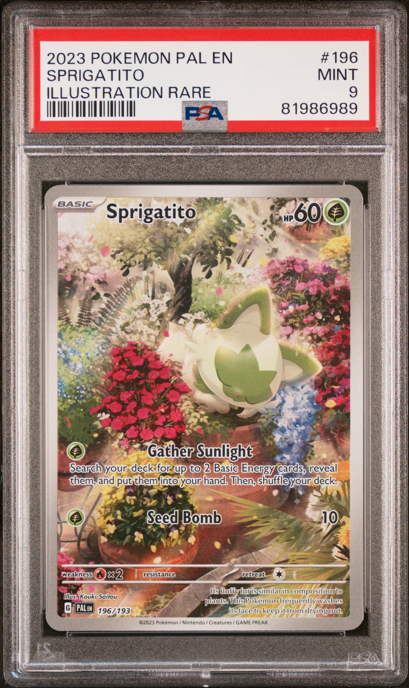 2023 POKEMON PAL EN-PALDEA EVOLVED #196 SPRIGATITO ILLUSTRATION RARE