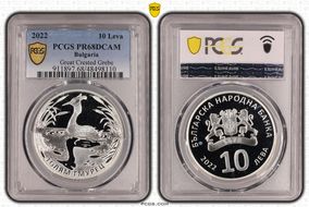 2022 10 Leva Great Crested Grebe PR68DCAM