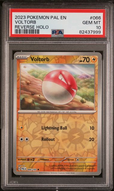 PAL 066/193 Voltorb - Paldea Evolved 