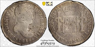 1818-NG M Real Calico-558 N1