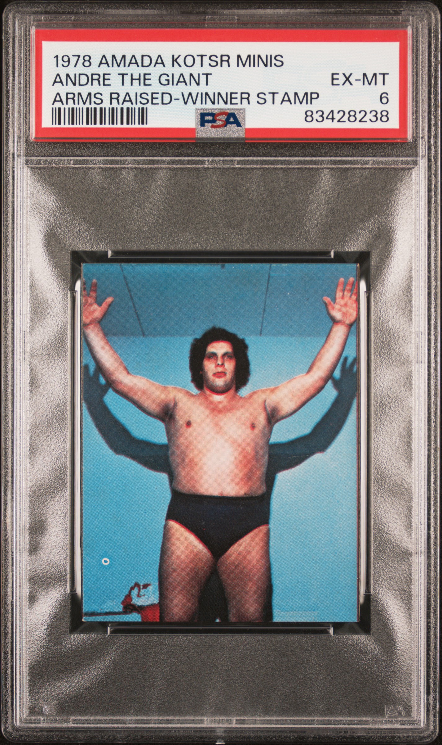 André the Giant - Simple English Wikipedia, the free encyclopedia