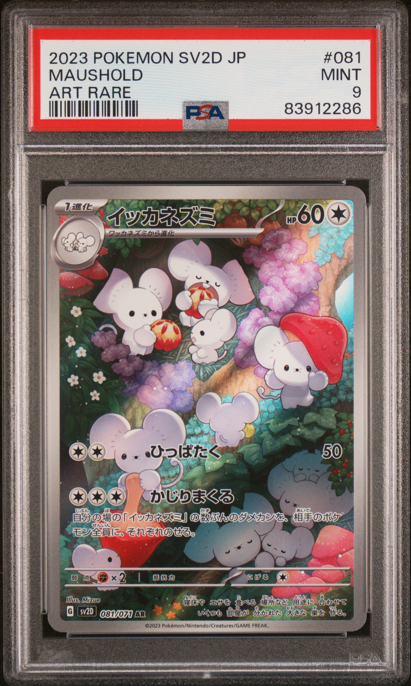 2023 POKEMON JAPANESE SV2D-CLAY BURST #081 MAUSHOLD ART RARE