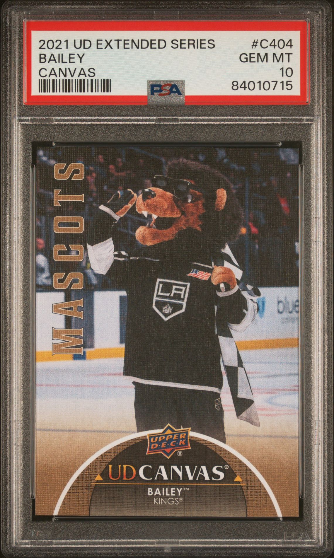 2021 Upper Deck UPPER DECK EXTENDED SERIES CANVAS #C404 Bailey front