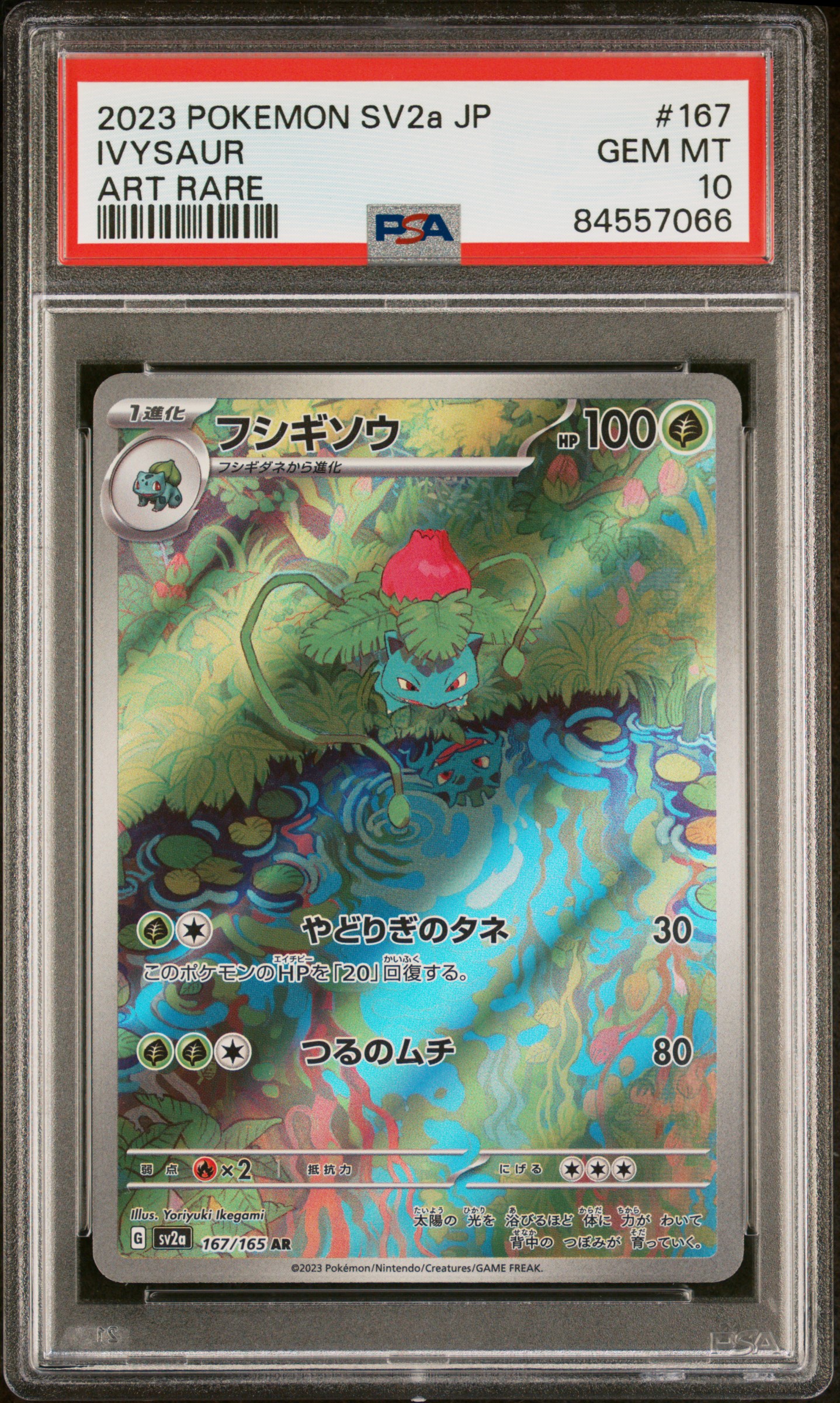 2023 POKEMON JAPANESE SV2a-POKEMON 151 #167 IVYSAUR ART RARE