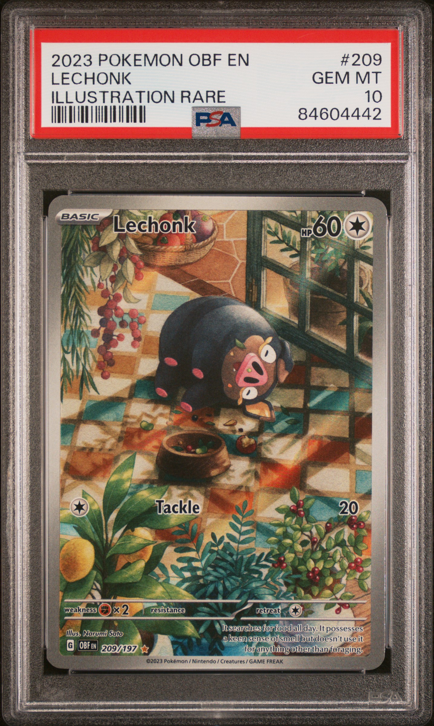 2023 POKEMON OBF EN-OBSIDIAN FLAMES #209 LECHONK ILLUSTRATION RARE