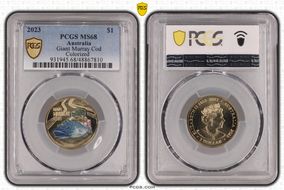 2023 $1 Giant Murray Cod  Colorized MS68