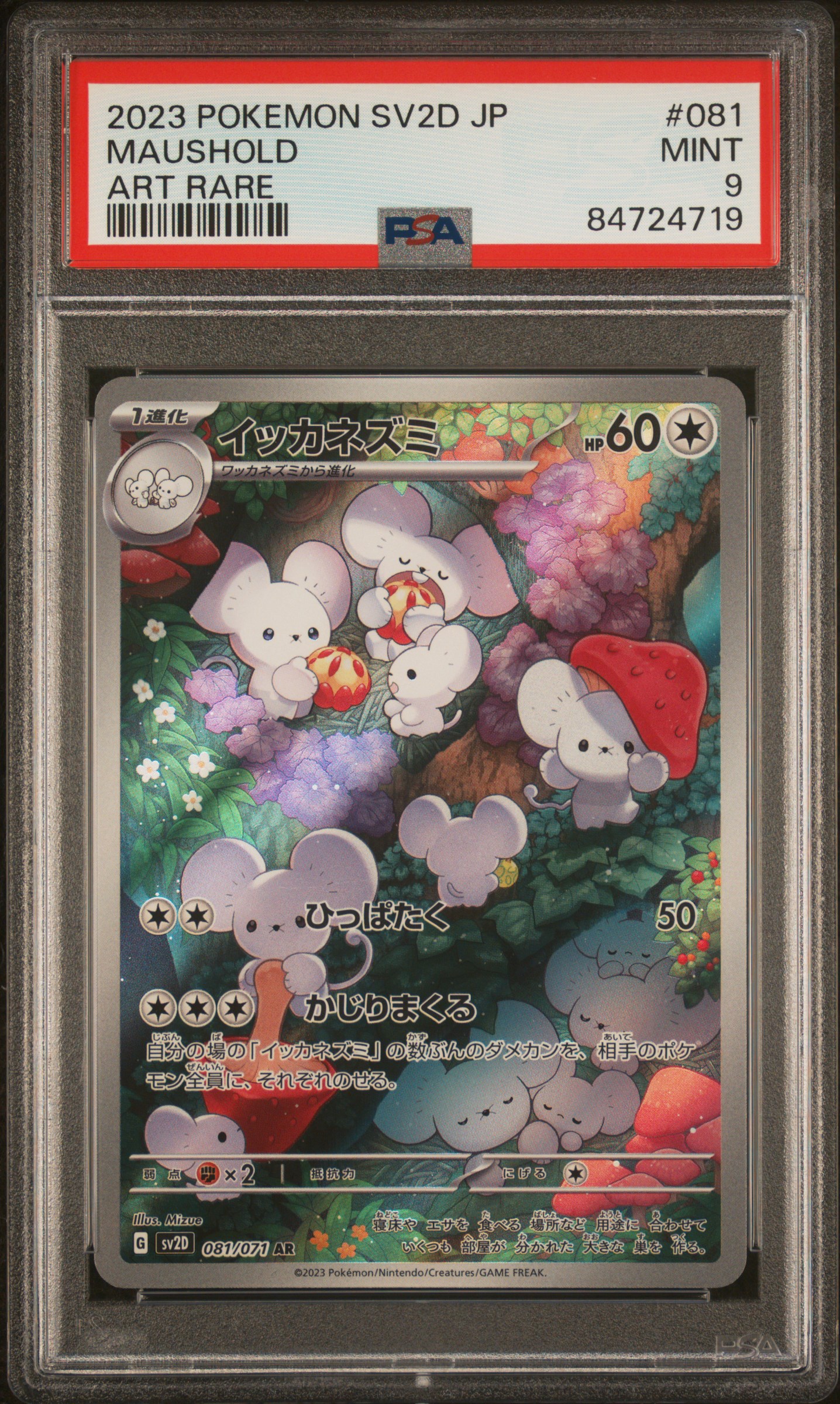 2023 POKEMON JAPANESE SV2D-CLAY BURST #081 MAUSHOLD ART RARE