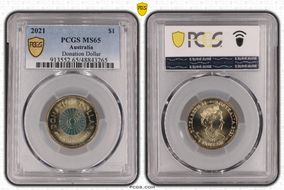 2021 $1 Donation Dollar Colorized MS65